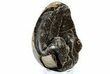 Septarian Dragon Egg Geode - Sparkly Black Crystals #308806-2